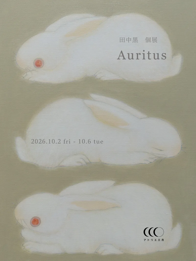 個展「Auritus」DM表面