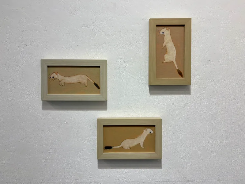 白いイタチを描いた3点の小さな額装作品(展示風景)